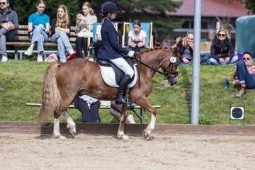 Bild 623 - Pony Akademie Turnier